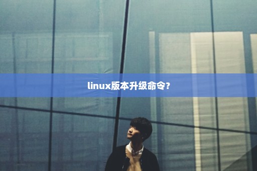 linux版本升级命令？