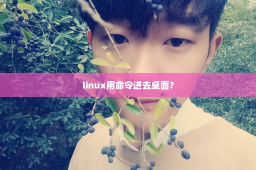 linux用命令进去桌面？