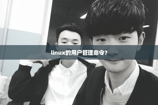 linux的用户管理命令？