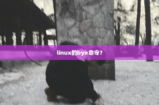 linux的bye命令？
