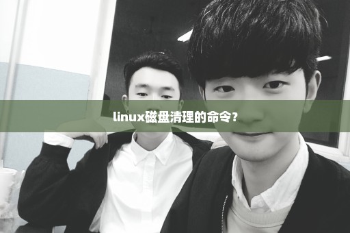 linux磁盘清理的命令？