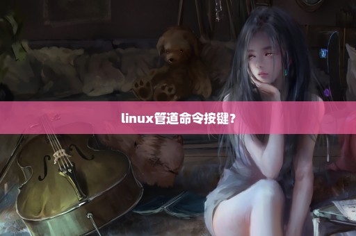 linux管道命令按键？
