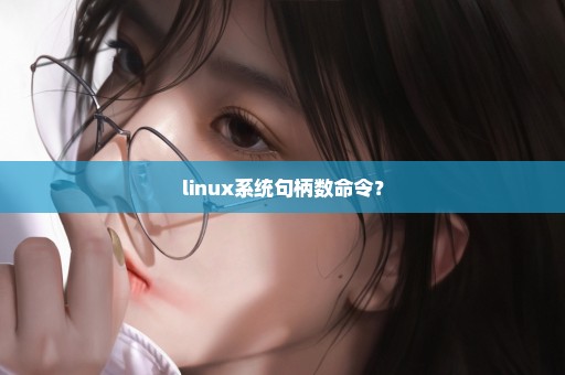 linux系统句柄数命令？