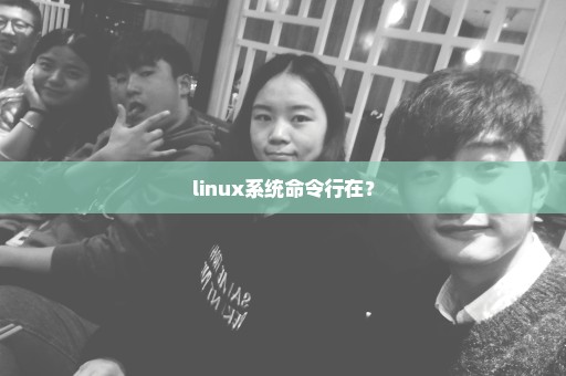 linux系统命令行在？