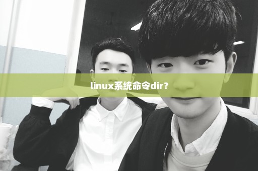 linux系统命令dir？