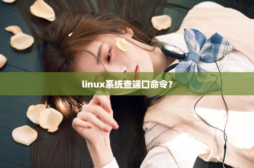 linux系统查端口命令？