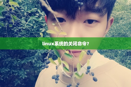 linux系统的关闭命令？