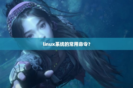 linux系统的常用命令？