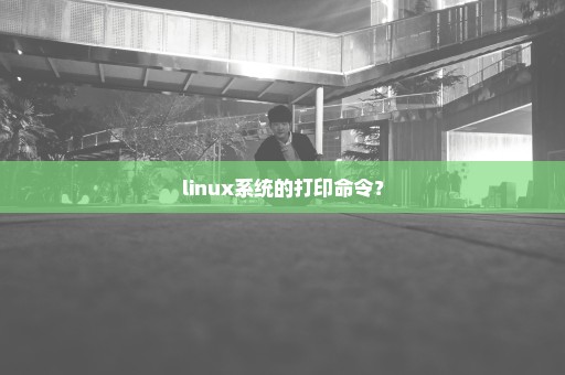 linux系统的打印命令？