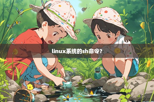 linux系统的sh命令？