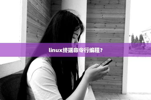 linux终端命令行编程？