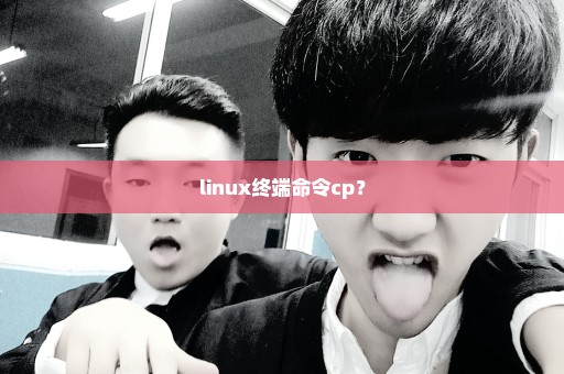 linux终端命令cp？