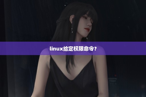 linux给定权限命令？
