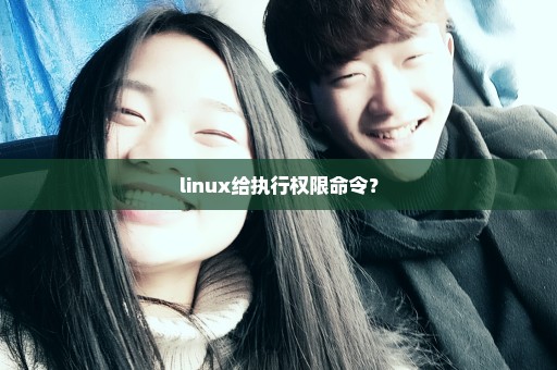 linux给执行权限命令？