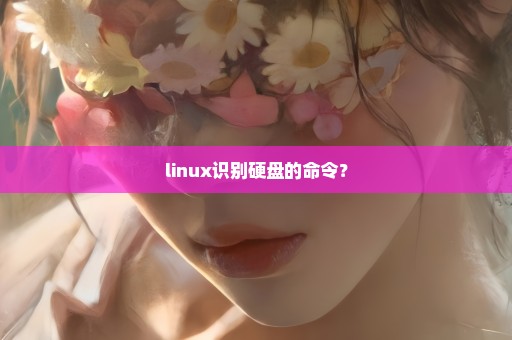 linux识别硬盘的命令？