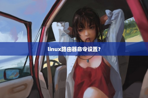 linux路由器命令设置？