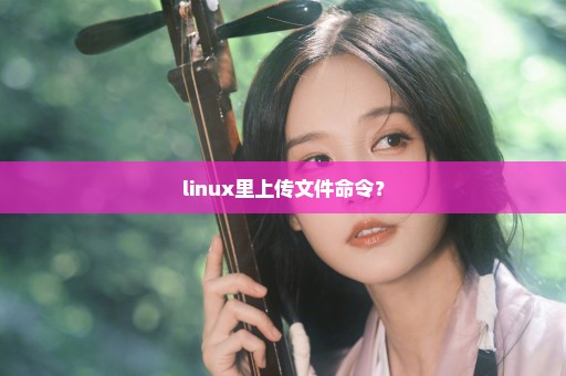 linux里上传文件命令？