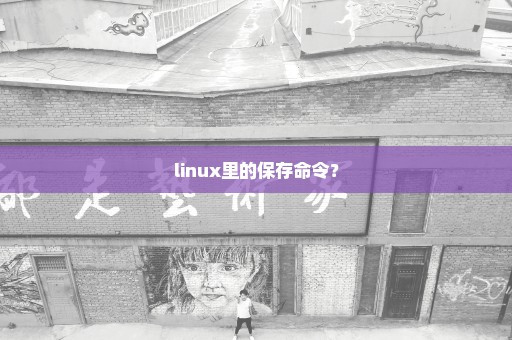 linux里的保存命令？