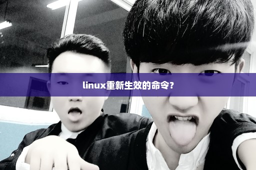linux重新生效的命令？