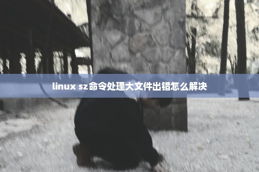 linux sz命令处理大文件出错怎么解决