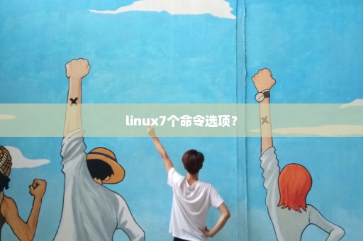 linux7个命令选项？