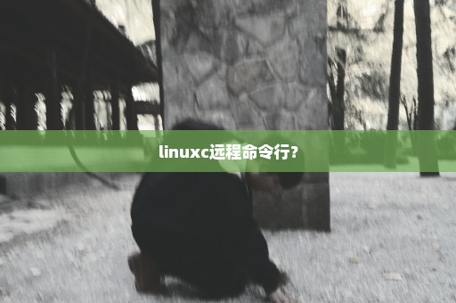 linuxc远程命令行？