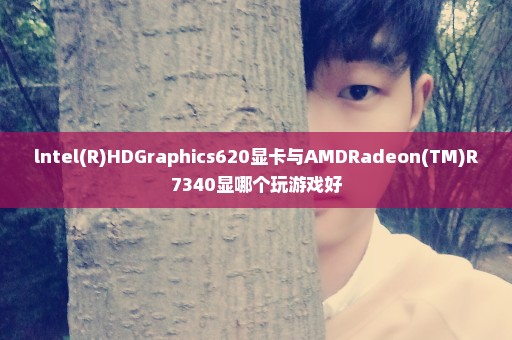 lntel(R)HDGraphics620显卡与AMDRadeon(TM)R7340显哪个玩游戏好