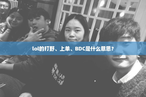 lol的打野、上单、BDC是什么意思？