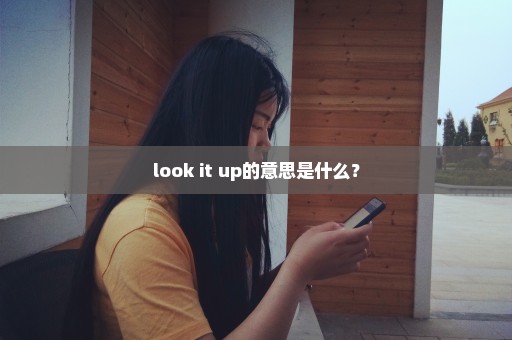 look it up的意思是什么？