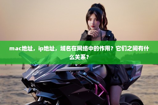 mac地址，ip地址，域名在网络中的作用？它们之间有什么关系？