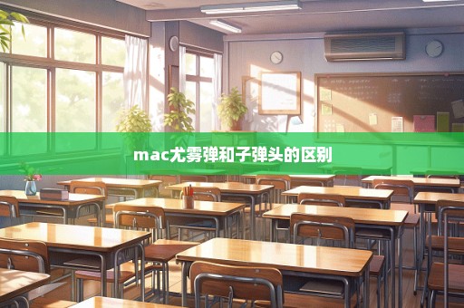mac尤雾弹和子弹头的区别