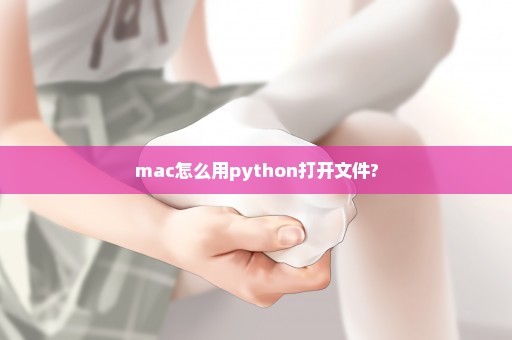 mac怎么用python打开文件?
