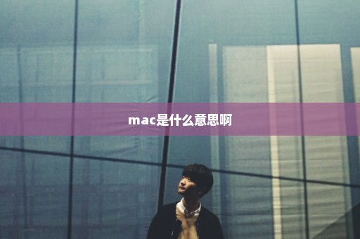 mac是什么意思啊