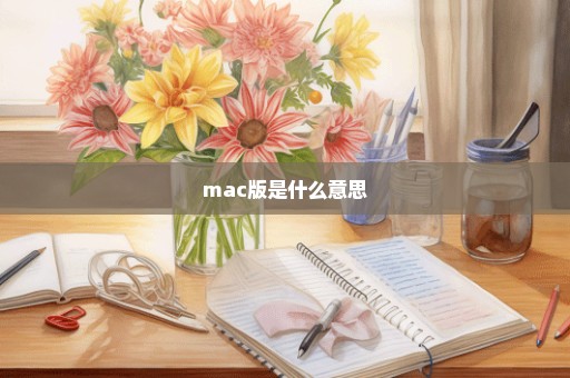 mac版是什么意思