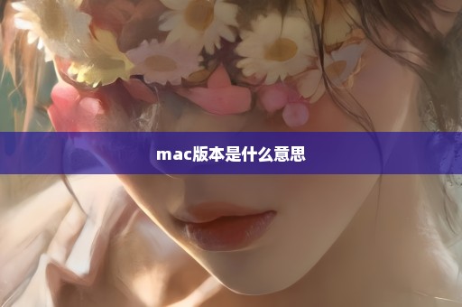 mac版本是什么意思