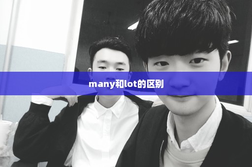 many和lot的区别