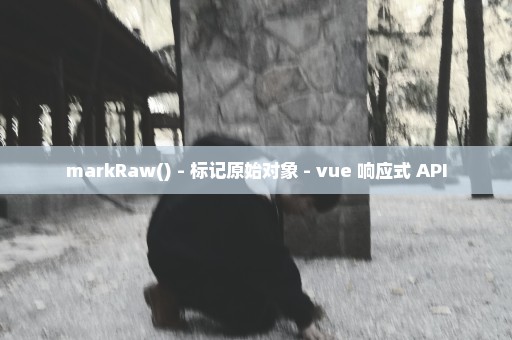 markRaw() - 标记原始对象 - vue 响应式 API