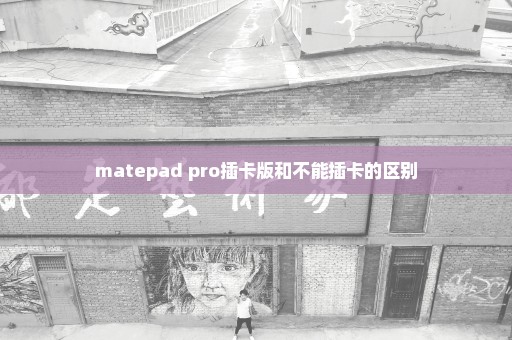 matepad pro插卡版和不能插卡的区别
