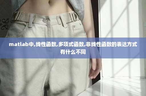 matlab中,线性函数,多项式函数,非线性函数的表达方式有什么不同