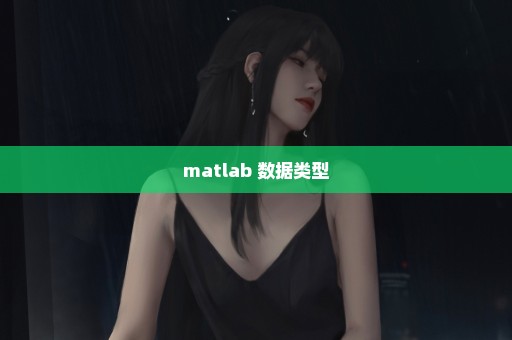 matlab 数据类型