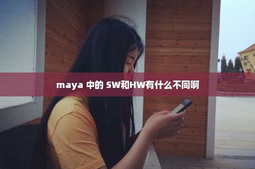 maya 中的 SW和HW有什么不同啊
