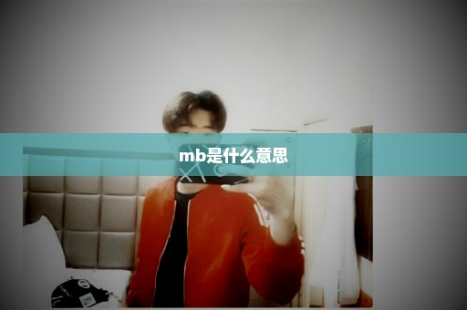 mb是什么意思