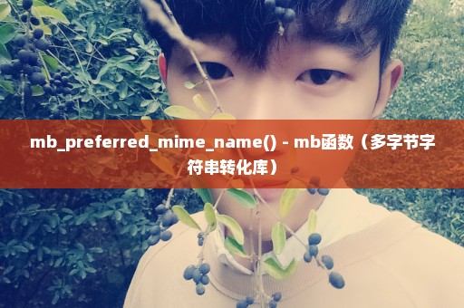 mb_preferred_mime_name() - mb函数（多字节字符串转化库）