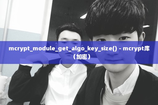 mcrypt_module_get_algo_key_size() - mcrypt库（加密）