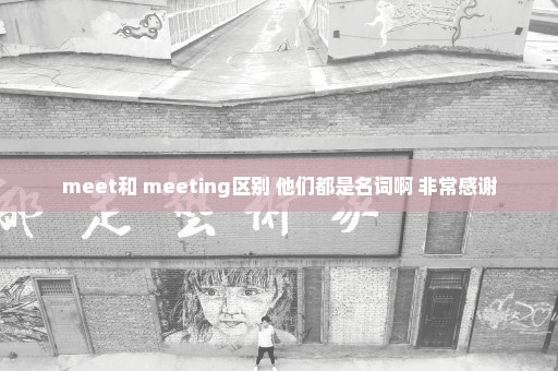 meet和 meeting区别 他们都是名词啊 非常感谢