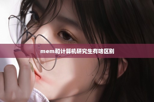 mem和计算机研究生有啥区别