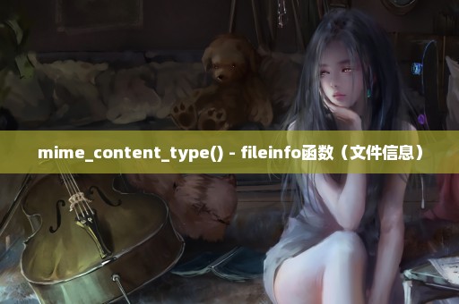 mime_content_type() - fileinfo函数（文件信息）