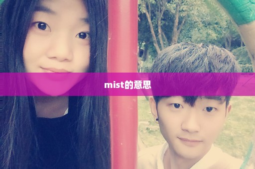mist的意思