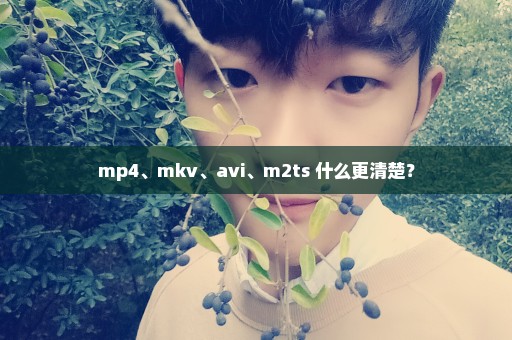 mp4、mkv、avi、m2ts 什么更清楚？