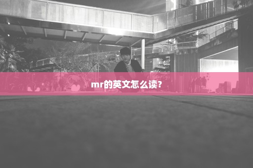 mr的英文怎么读？